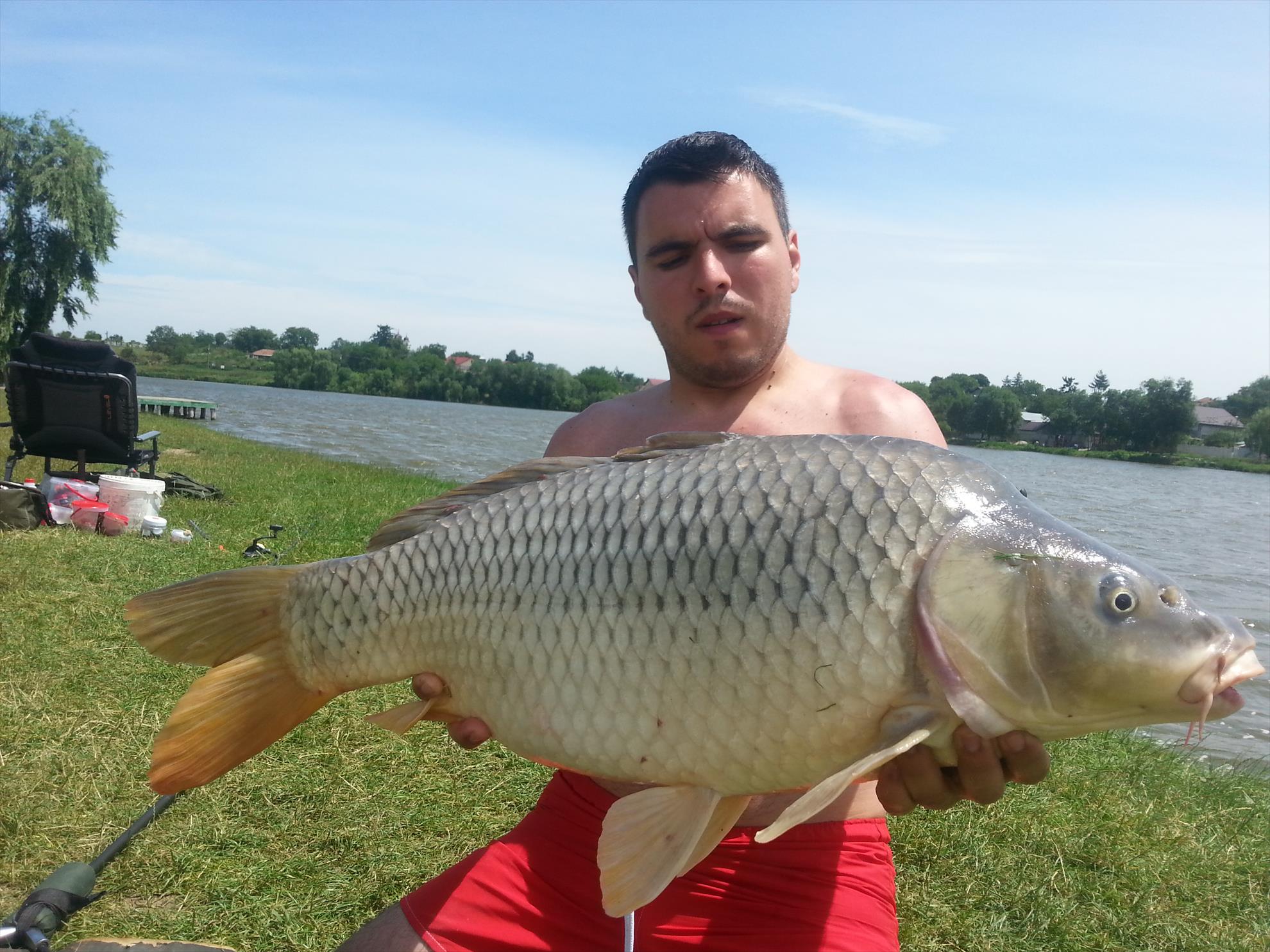 Moara Vlasiei 2 15 - 16 iulie 2014 - 20140716130908.jpg